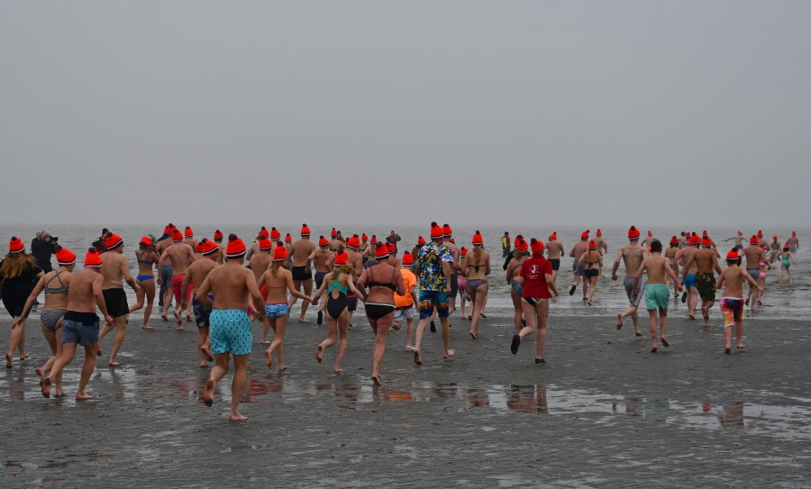'Duikers' trotseren kou bij Nieuwjaarsduik Harlingen
