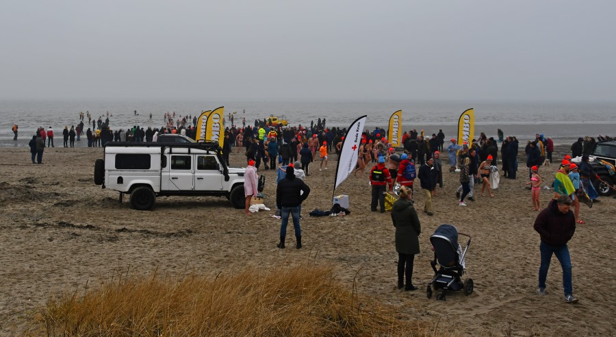 'Duikers' trotseren kou bij Nieuwjaarsduik Harlingen