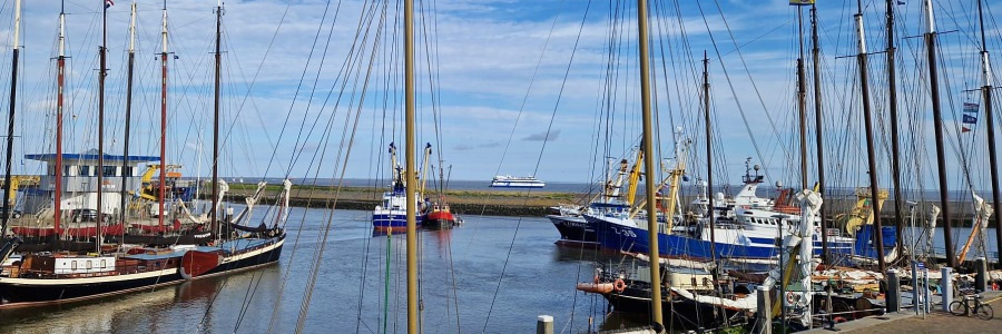 Protestactie vissers haven Harlingen