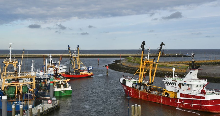 Protestactie vissers haven Harlingen
