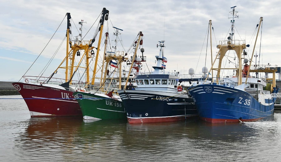 Protestactie vissers haven Harlingen