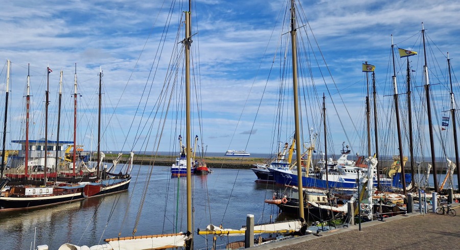 Protestactie vissers haven Harlingen